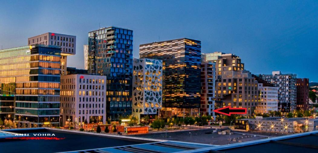 Spacious Modern 3Br Apartment At Central Oslo Barcode 외부 사진